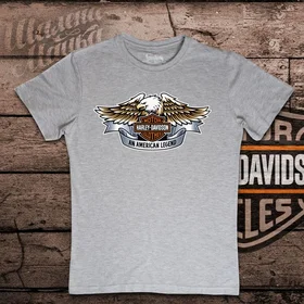 Прикольные футболки: Harley Davidson 001 Grey